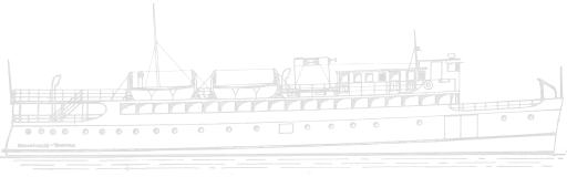 M.S. Dungeness